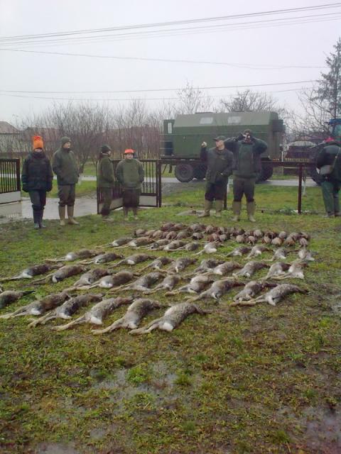 2010_dec_02