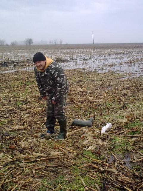 2010_dec_03