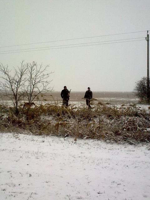 2012_03