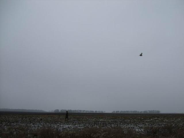 kep_38